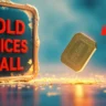 Gold Prices Fall